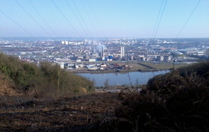 Forêt de Roumare