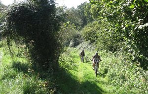 marais vernier sortie vtt samedi 01 10 2011 034 [1