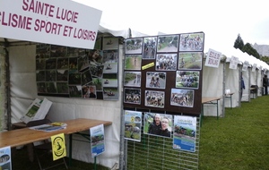 Forum des associations